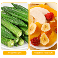 Private Label Zoete Gefreeze-droogde Fruit Snack Banaan Gele Perzik Mango Appel Gemengde Fruit Chips Bulk 8g