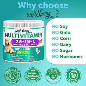 Multivitamines complètes pour chiens avec probiotiques et glucosamine, 26-en-1, saveur bœuf, comprimés à mâcher pour chiens, 60 unités - Product Image 4