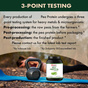 אבקת חלבון אפונה מבודד פרימיום ללא טעם, אבקת חלבון צמחי, קל לעיכול למבוגרים, תוסף חלבון אפונה - Product Image 5