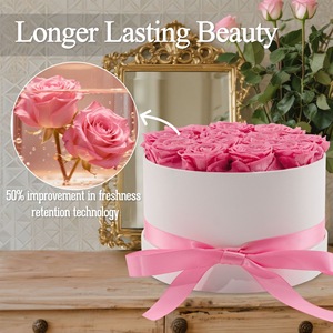 Caja <span class=keywords><strong>de</strong></span> Rosas Preservadas Quiet Luxury, 12 Rosas Rosadas Hechas <span class=keywords><strong>a</strong></span> <span class=keywords><strong>Mano</strong></span>, Cilindro Blanco, Regalo OEM para <span class=keywords><strong>Aniversario</strong></span> <span class=keywords><strong>de</strong></span> Bodas, Navidad, Larga Duración <span class=keywords><strong>de</strong></span> 3 <span class=keywords><strong>a</strong></span> 5 <span class=keywords><strong>A</strong></span>ños - Product Image 2