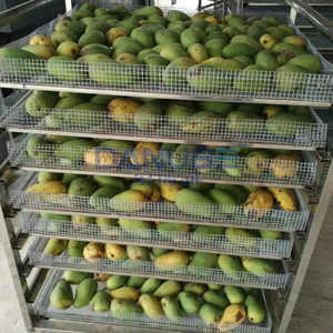 Habitación de Secado de Mango y Longan con Temperatura Ajustable, Equipo Deshidratador de Longan, Maquinaria de Secado de Mango - Product Image 2