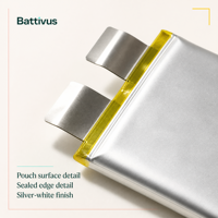 Batterie LiPo BATTIVUS 3.7V 10000mAh en pochette 1059156 pour aspirateur sans fil, vente en gros 10Ah Slim OEM ODM