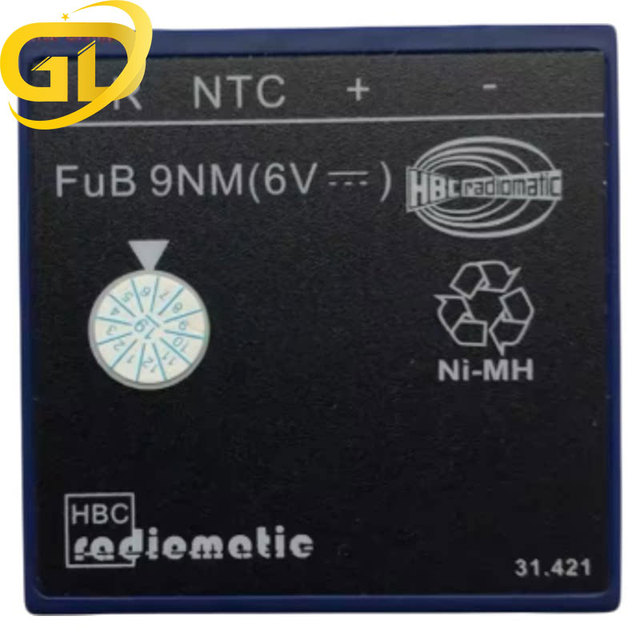 Golden Crane Trolley Pump Truck Remote Control Battery BA209061 BA209001 FUB9NM Hirschmann HBC 6 Months Warranty China Origin
