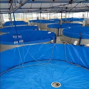 Estanque de PVC galvanizado para acuicultura y almacenamiento de agua en huertos, cría de Koi, langostas y tilapias - Product Image 4