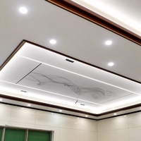 Panneau en aluminium alvéolé antibactérien, ignifuge, écologique, avec LED intégrées, sans poussière, facile à nettoyer, pour salle blanche d'hôpital et laboratoire