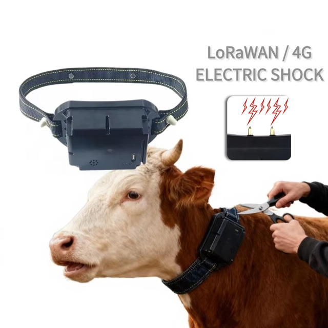 Livestock Virtual Geo-Fencing Voice Cattle Shock Collars LoRa 4G Beidou Wi-Fi AGPS GPS Animal Tracking Collar with SIM Card