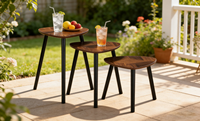 Table à collation, table mobile, table gigogne, table basse, table d'appoint