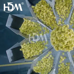 Neues Design Halbautomat ische Snack Food Automatische Chips Verpackungs maschine Halbautomat ische Mehrkopf waage