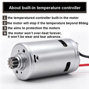 Moteur CC à balais de charbon haute vitesse 24V 30V 36V 16000 tr/min 795 tr/min pour secoueur d'oliviers - Product Image 6