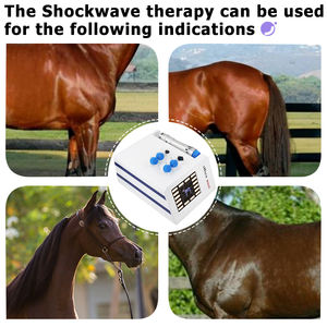 Mesin terapi Shockwave 300MJ, untuk meringankan kuda hewan mengurangi rasa sakit beberapa penggunaan mesin pijat gelombang guncangan profesional - Product Image 5