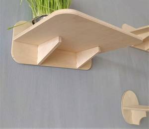 Meilleure Vente Hoopet : Cadre d'escalade mural simple, style luxe et dessin animé, jouet interactif pour animaux de compagnie, escaliers et rampes - Product Image 3