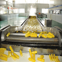 TEK Industriële Kleine Blancheringsmachine voor Zeevruchten, Fruit, Groenten, Garnalen, Zeevruchten Blancheren, Drogen, Productielijn