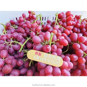 Alta Brix succosa frutta fresca rosa rosso uva prezzo