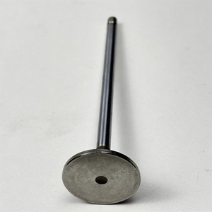 Valve d'échappement R520224 compatible avec 9780I Cts C670 CH570 CH670 E400 R4045 - Product Image 2