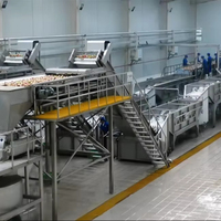 10-500 tonnes par jour ligne de production automatique de jus de granadilla de citron orange équipement de machine