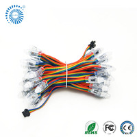 Guirlande de pixels WS2811 étanche IP68, 5V 12V, LED RGB carrées de 12mm, dimmables, température de couleur SPI, garantie 2 ans, pour extérieur