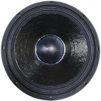 Haut-parleur puissant pour l'extérieur, grande scène, 1600W, 15 pouces, pilote, double aimant, woofer, PA, système de haut-parleurs, haut-parleur ligne