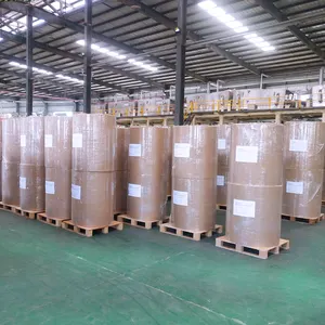 48gsm 55gsm 65gsm 405mm 795mm 875mm thermal paper jumbo roll