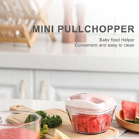 Gadgets de cuisine mini hachoir manuel multifonctionnel hachoir oignon chili ail hachoir aliments légumes