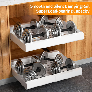 Nouveau modèle glissant les tiroirs d'armoire glissent les étagères sous les organisateurs d'évier et le support de stockage - Product Image 6