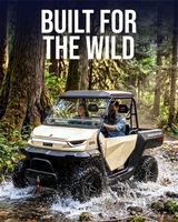 Канди 4*4 UTV Электрический грузовой автомобиль 15,36 kWh литиевая батарея бок о бок взрослый EPS Электрический UTV 72V автоматический EEC Сертифицированный