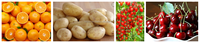 Hoge Kwaliteit Abrikoos Grader Fruit Sorteren Machine Kalibratie Sizer