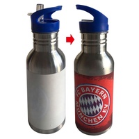 Bouteilles d'eau portatives de changement de couleur de tasse magique de camping de sports de plein air avec le logo personnalisé