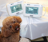 Appareil de radiographie portable pour animaux 70KV, radiographie vétérinaire pour chien, chat, lapin, souris, tortue, machine de radiographie numérique vétérinaire