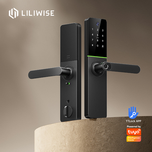 กุญแจล็อคดิจิตอลอัจฉริยะ Liliwiise แบบฝังใน พร้อมระบบไบโอเมตริกซ์ บัตร RFID Wifi Tuya Ttlock Eye  พร้อมกล้องและระบบสแกนลายนิ้วมือ - Product Image 1