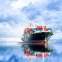 Agente de Transporte Marítimo Global DDP, Logística de China a Estados Unidos, Canadá y México, Transitario de Carga Puerta a Puerta