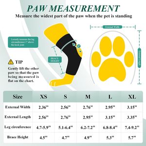 Drop Foot Brace with Reel,Corrective <strong>Dog</strong> Shoes to Safely Lift Toes for Foot Issues, Arthritis Improving Walking Gait in <strong>Dogs</strong> - Product Image 6