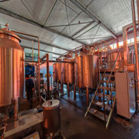 Fabricage Fabriek Tomatenpuree Verwerkingsmachine Om Tomatensap Productielijn Te Pureer