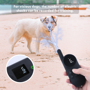 Thiết Kế Mới Nhất Anti Bark <span class=keywords><strong>ECollar</strong></span> Không Có Hại Đào Tạo Nhanh <span class=keywords><strong>Dog</strong></span> Sốc Cổ Áo Với Từ Xa - Product Image 3