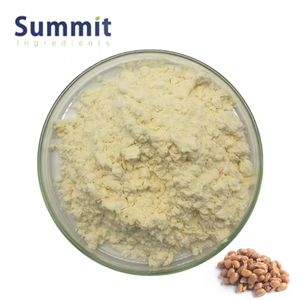 Summit Supply High Enzyme Activity 20000 FU/G Natto Extract Nattokinase <strong>Powder</strong> - Product Image 1