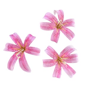 Fleurs artificielles Pingping, fleurs de lys imprimées en 3D, 3 têtes, fleurs artificielles en soie pour décoration de mariage et d'hôtel - Product Image 5