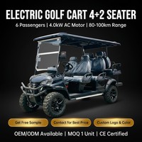 Voiturette de golf électrique tout-terrain Tarion personnalisable 6 places avec batterie au lithium, pneus tout-terrain, caddie arrière, vitesse 35 km/h, autonomie 90 km, en acier
