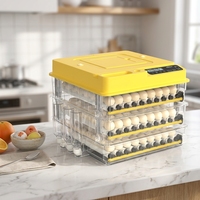 Incubateur à œufs HHD TW216 avec ventilateur pour l'incubation des œufs de poulet aux Pays-Bas