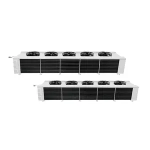 DJ170 Double-blowing Air Cooler Low-frost Evaporator For Fruit And Vegetable Food Processing Plant