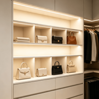Système de dressing moderne en bois sur mesure, armoire haute sans poignée laquée blanche avec éclairage LED central
