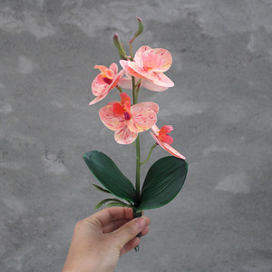 ดอกไม้ประดิษฐ์สัมผัสนุ่มเหมือนจริง กล้วยไม้ฟาแลนนอปซิส แบบกระถางเล็ก ดอกไม้ผ้าไหม ตกแต่งห้องนั่งเล่น บอนไซ จัดดอกไม้สำหรับงานแต่งงาน - Product Image 2