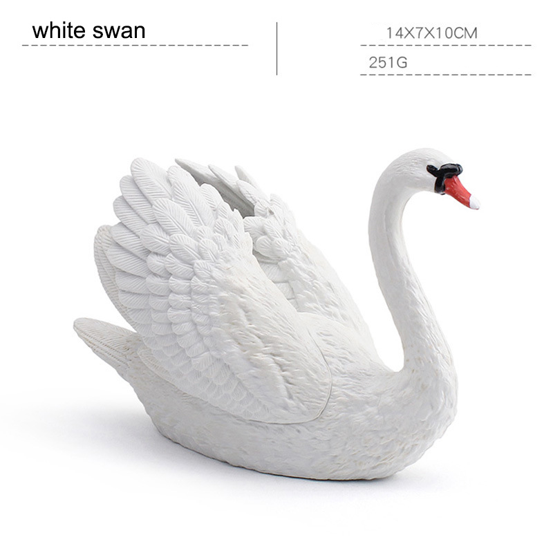 cygne blanc
