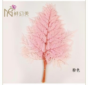 يوننان محفوظ من الجلد الأخضر أوراق السرخس-زهور بالجملة ، بدون صيانة أوراق الشجر الحرفية ديي - Product Image 4