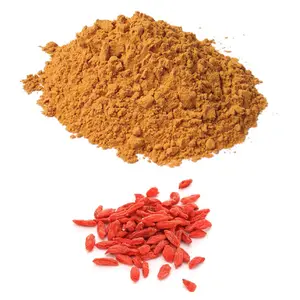 Bio-Ergänzung Gefrier getrocknetes Goji-Beeren-Extrakt Goji-Wolfsbeer-Extrakt-Pulver