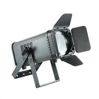 Bühnenbeleuchtungsausrüstung Professionelle Theater-TV-Studio DMX-Scheinwerfer 200W 3000K Warmweiß LED Fresnel-Licht