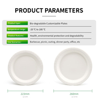 Assiettes en papier modernes personnalisées, imprimées, jetables, compostables, résistantes à l'huile et à l'eau, écologiques, pour la cuisine, les pique-niques, les fêtes d'anniversaire