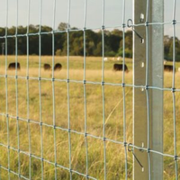 Rouleaux de grillage galvanisé écologique pour bétail, clôture de sécurité pour ferme, chevaux, bovins, champ, avec nœuds fixes pour cerfs