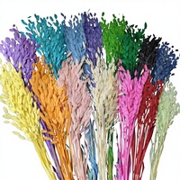 Petite herbe de l'espoir, fleur préservée, matériau naturel frais pour les bouquets ménagers et les articles de décoration intérieure