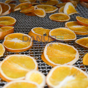 Secador de Bomba de Calor con Temperatura Ajustable, Equipo de Secado de Plátanos, Mangos, Naranjas y Melocotones, Máquina Deshidratadora de Frutas - Product Image 2