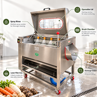 Machine à laver les légumes-racines commerciale avec brosses rotatives pour les opérations de manutention des récoltes agricoles