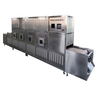 Tunnelbandmagnetron droogmachine automatische continue droogmachine voor voedsel, specerijen, chemische grondstoffen, CE-gecertificeerd, aanpasbaar